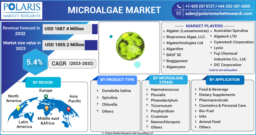 Microalgae Market Report 2023